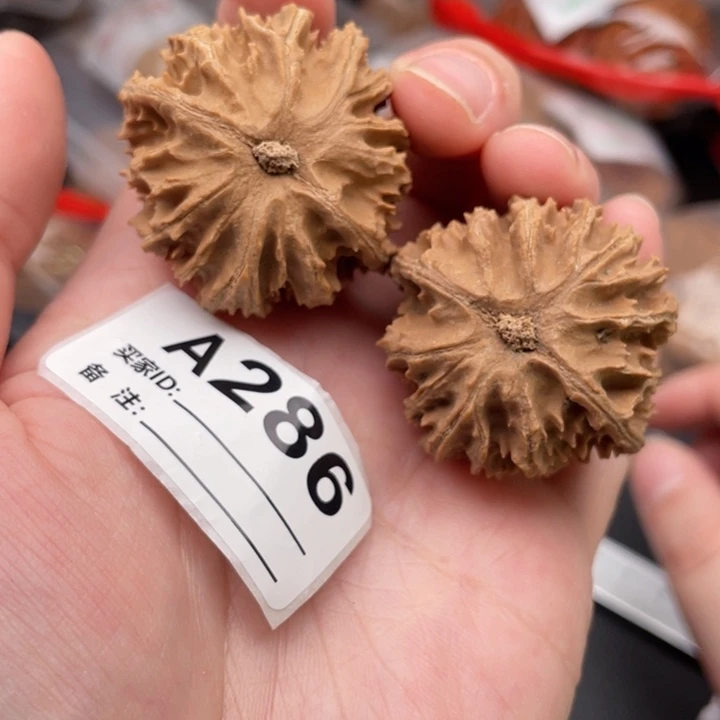 文玩核桃吊坠核桃