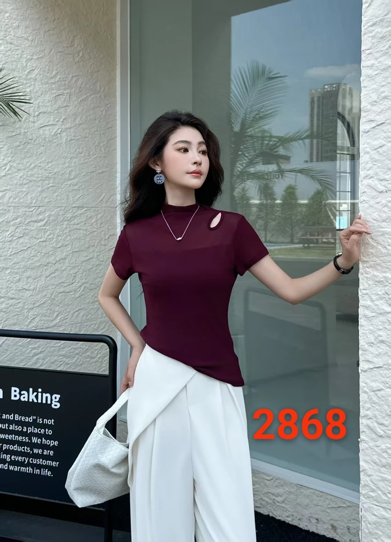 2868#2025新款时尚修身显瘦网纱短袖T恤
