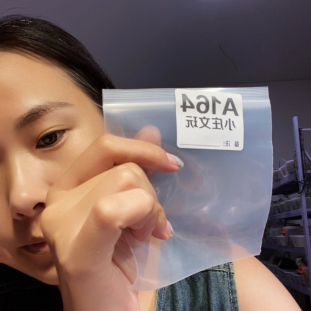 【闪购商品】黑檀木164