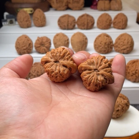 【闪购商品】吊坠桃核舍*丁