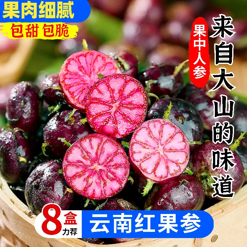 【坏果包赔】心巴云南红果参新鲜现摘蜘蛛果大果算盘果当季水果
