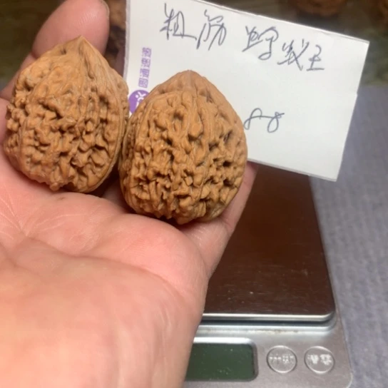 文玩核桃吊坠粗筋蚂蚁王