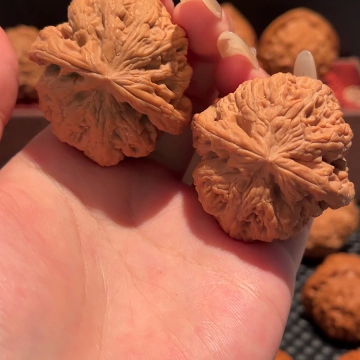 文玩核桃吊坠大粗筋