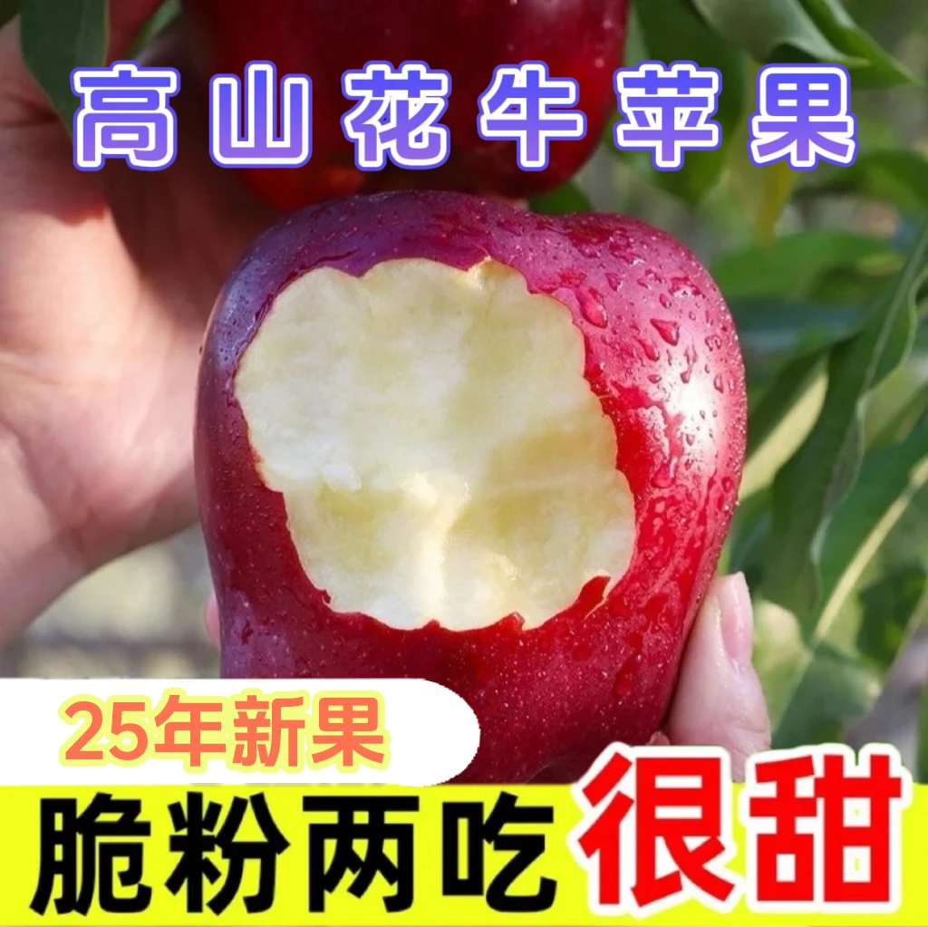 甘肃正宗天水花牛苹果产地直发营养粉面蛇果新鲜脆甜多汁水果批发