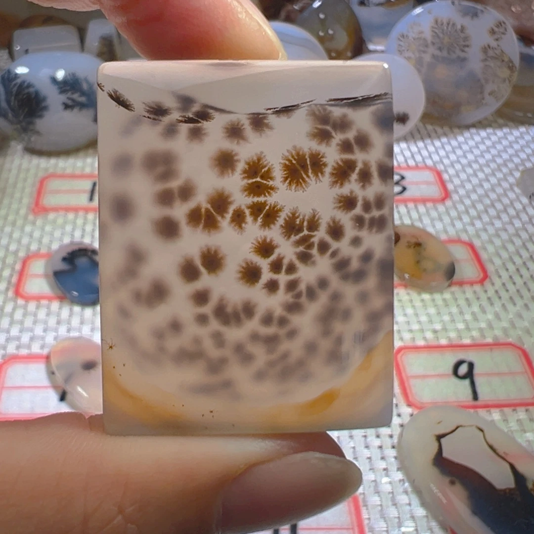 未镶嵌颈饰玛瑙/玉髓