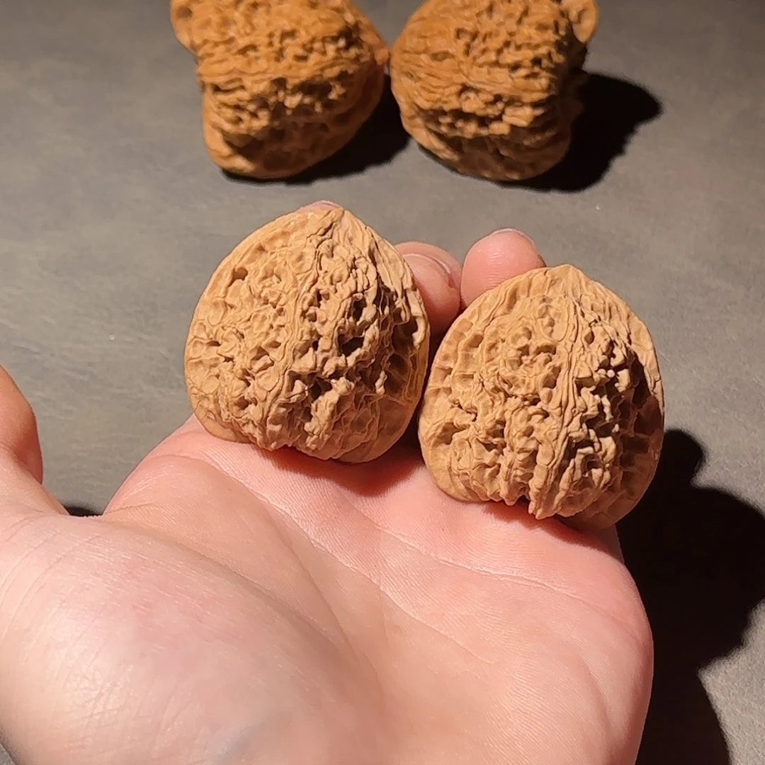 大叶紫檀（黑酸枝木类）