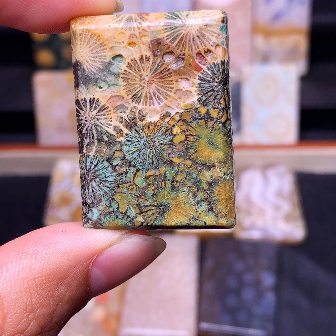 小***河合金硅化珊瑚（珊瑚玉）珠宝奇石