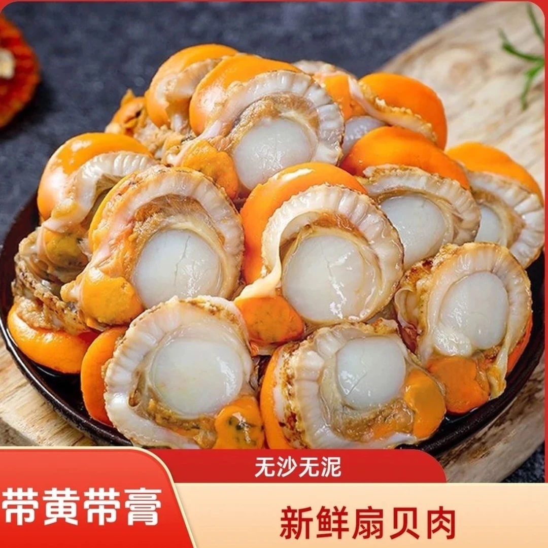【拍一发五斤】新鲜熟冻大个带膏带黄无泥无沙扇贝肉顺丰包邮