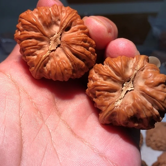 别***就有机玻璃是咯摸摸哦哦哦哦