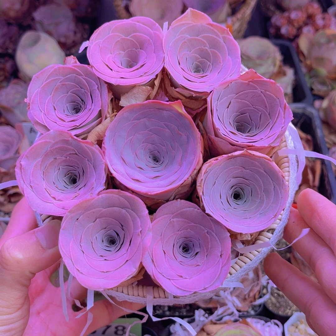 山地玫瑰花篮004