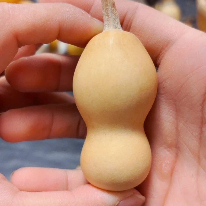 好**u8888888988888888888