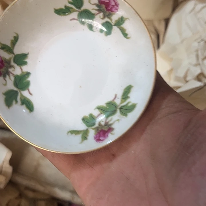 杂色豆（科檀/科特迪瓦檀木）四**家