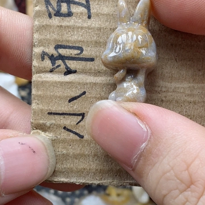 颈饰未镶嵌硅化珊瑚（珊瑚玉）随*?