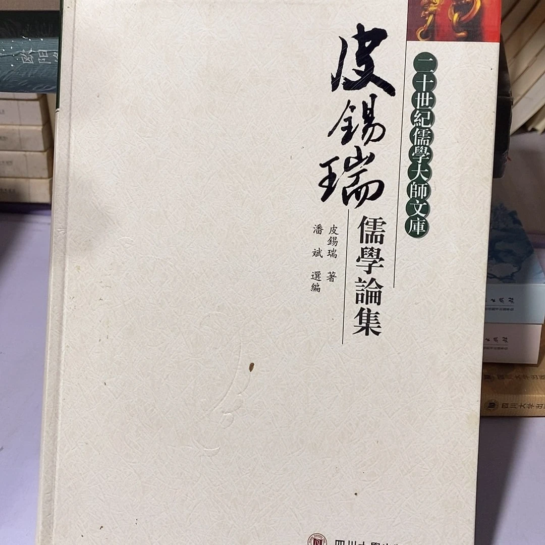 皮老师 儒学论集
