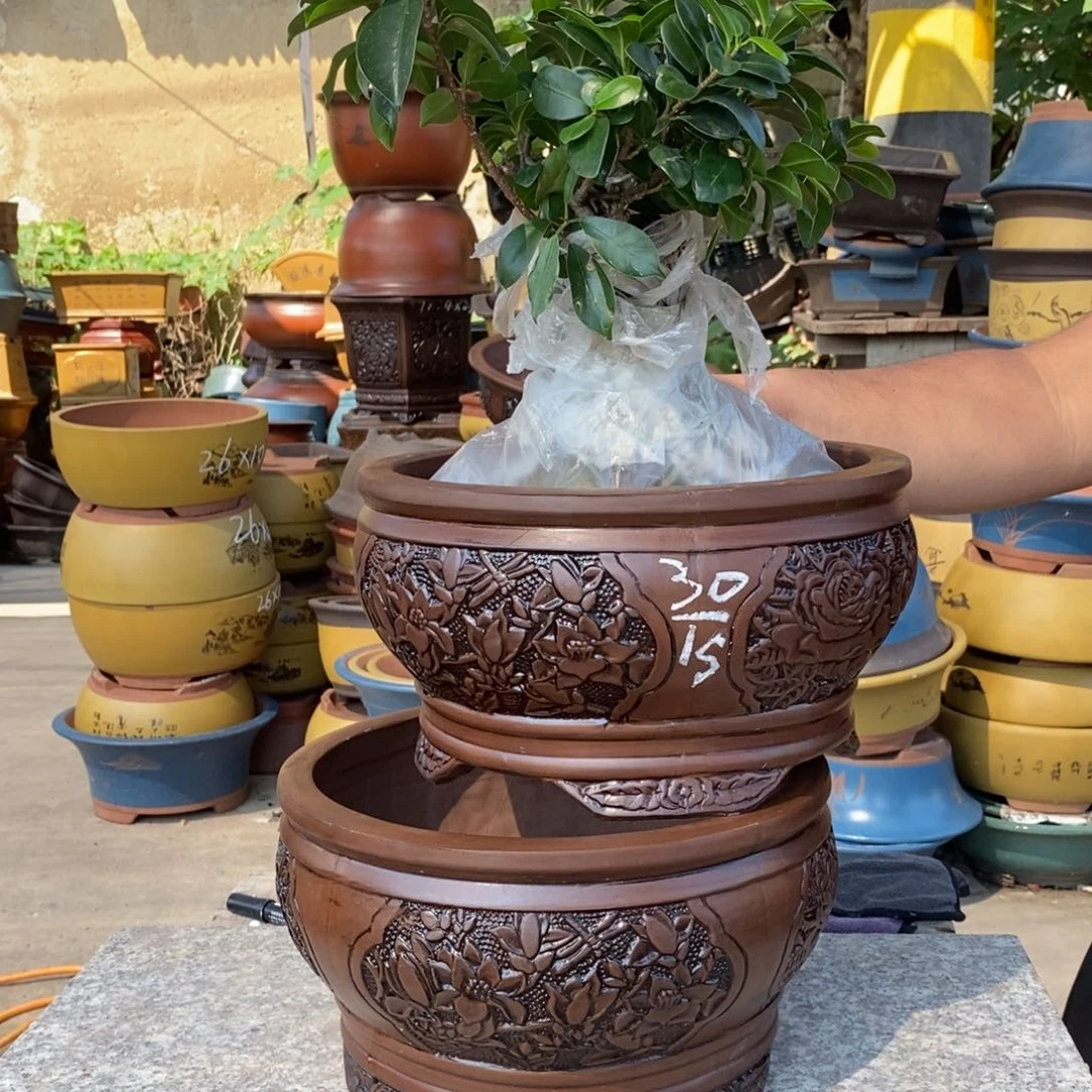 紫砂壶的时候我就觉得自己
