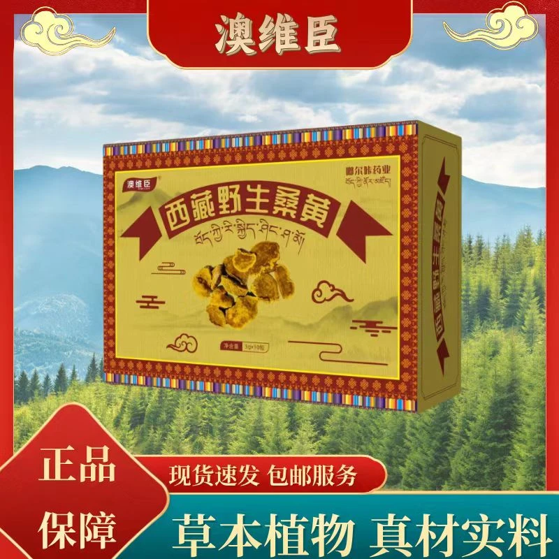 西藏高原桑黄 营养丰富
