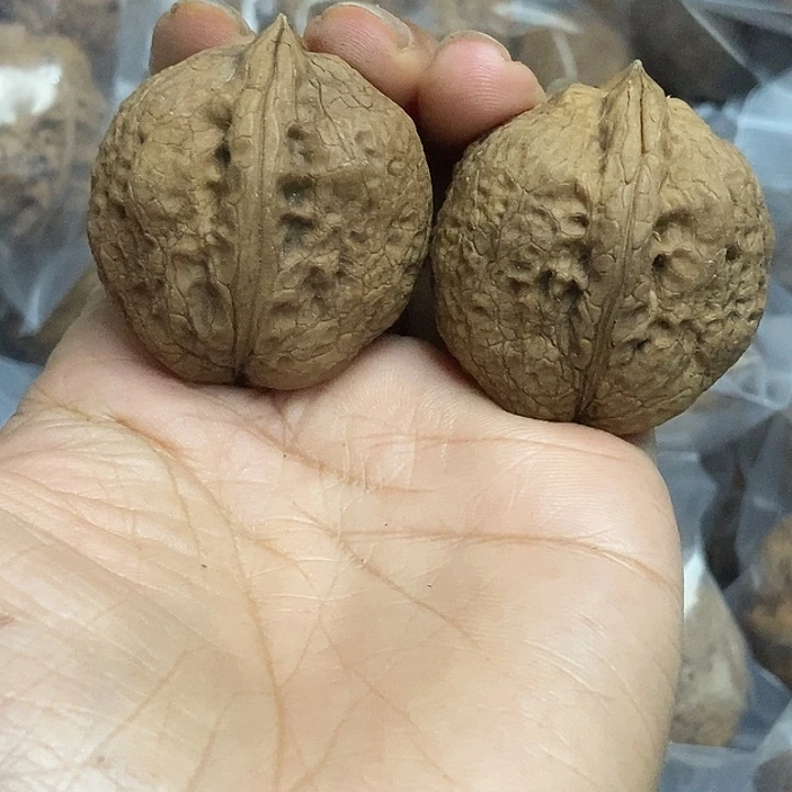 把件文玩核桃云南铁核桃基地57