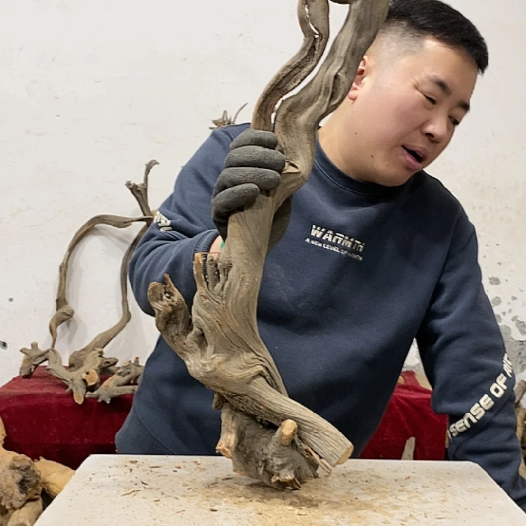 【闪购商品】柏木新*我们都是好孩子