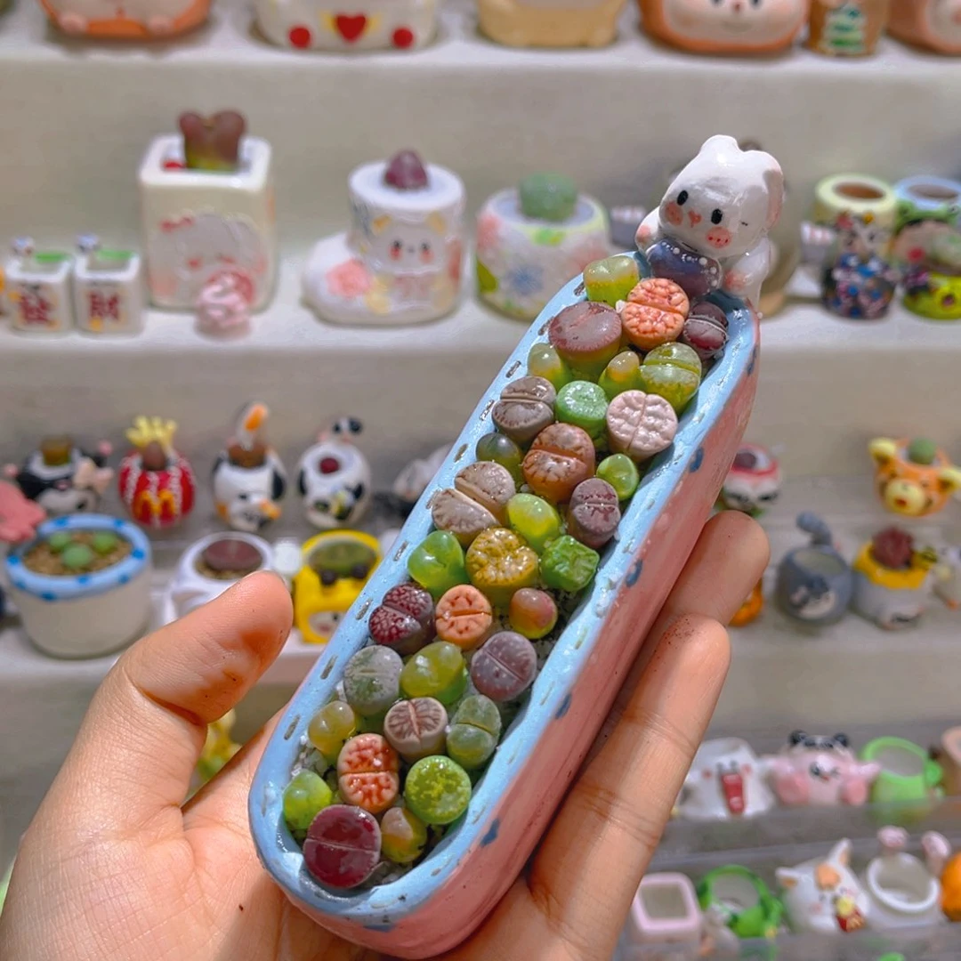 懒**梨酱梨宝宝专属链接拍拍