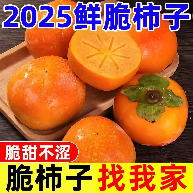 阳丰巧克力脆柿新鲜水果柿子应季产地现摘现发T