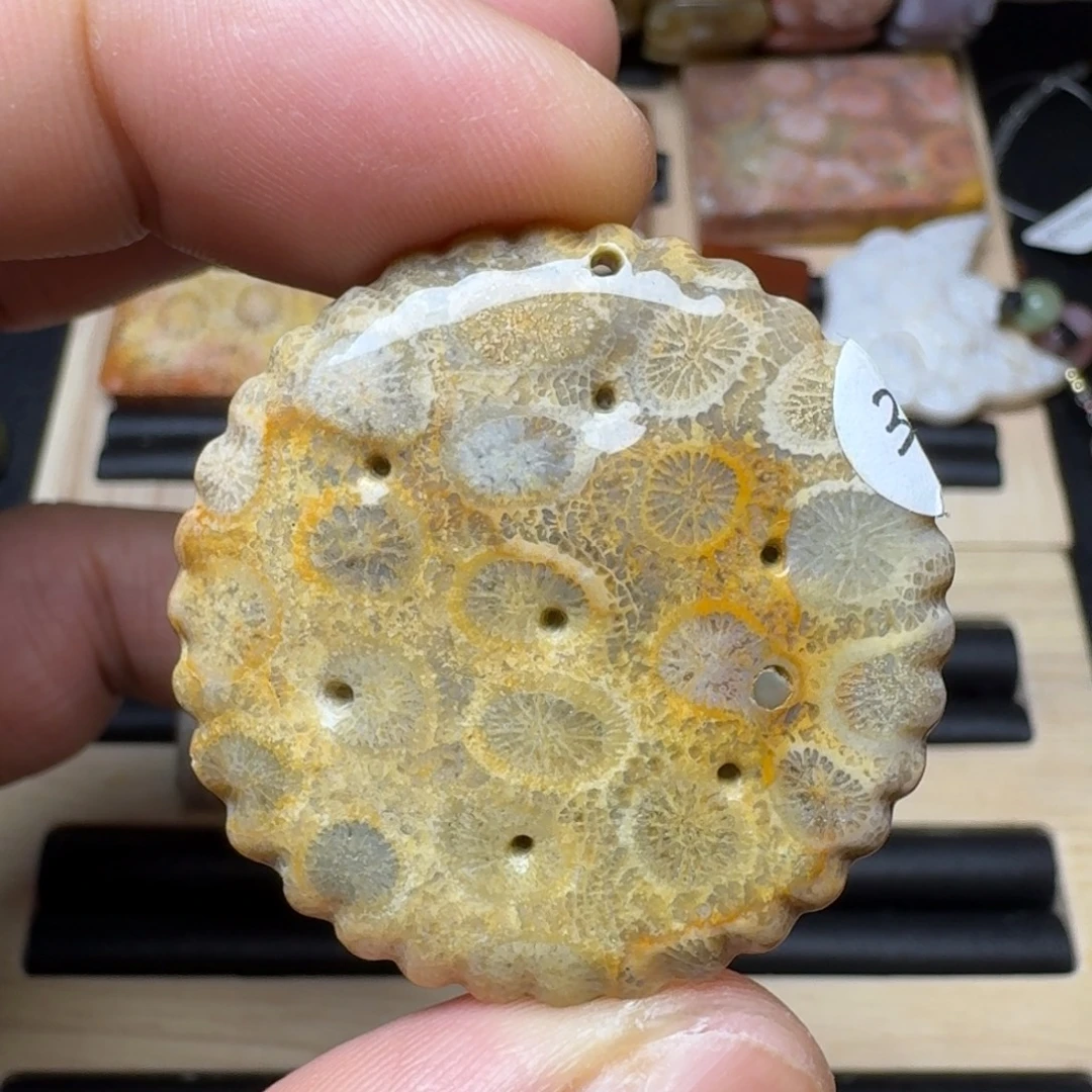 未镶嵌纯天然色有机玉石保真色硅化玉