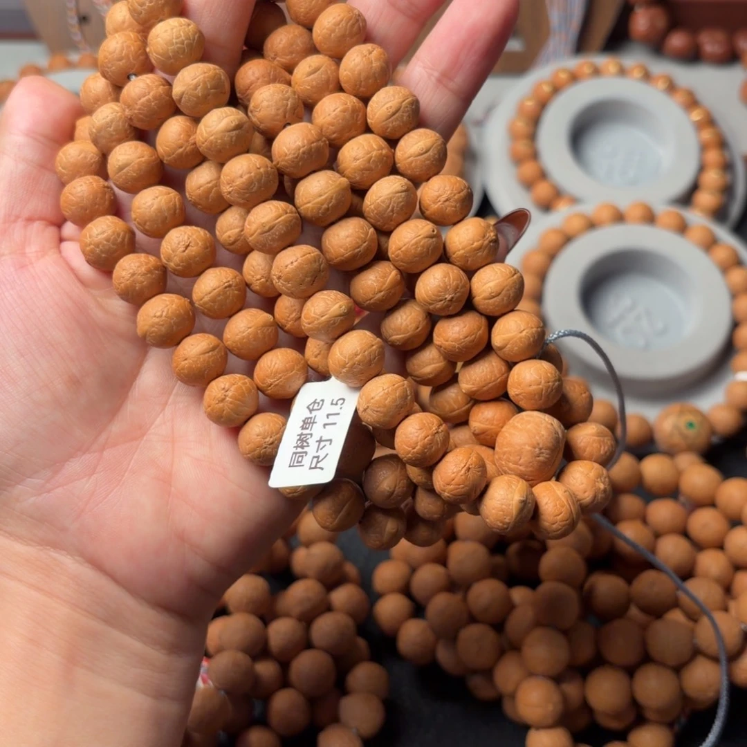 凤眼菩提手串同树矮桩