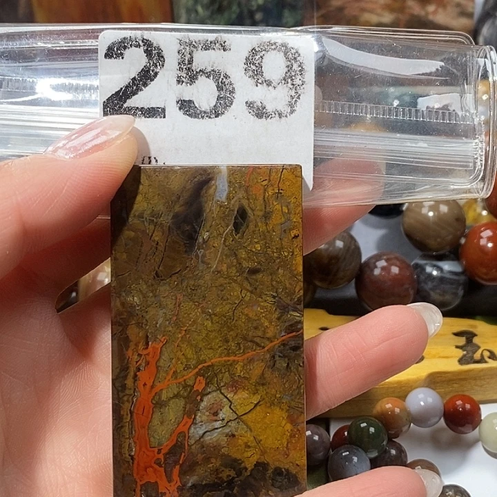 硅化玉未镶嵌天然北票树化玉吊坠