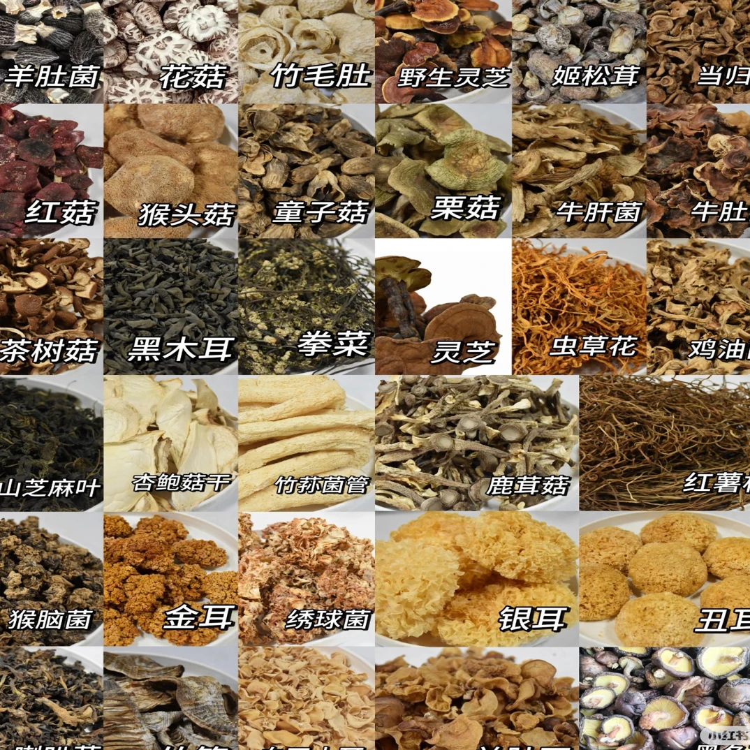 1号农家乡野山货，通用临时，现收山货，高山香菇