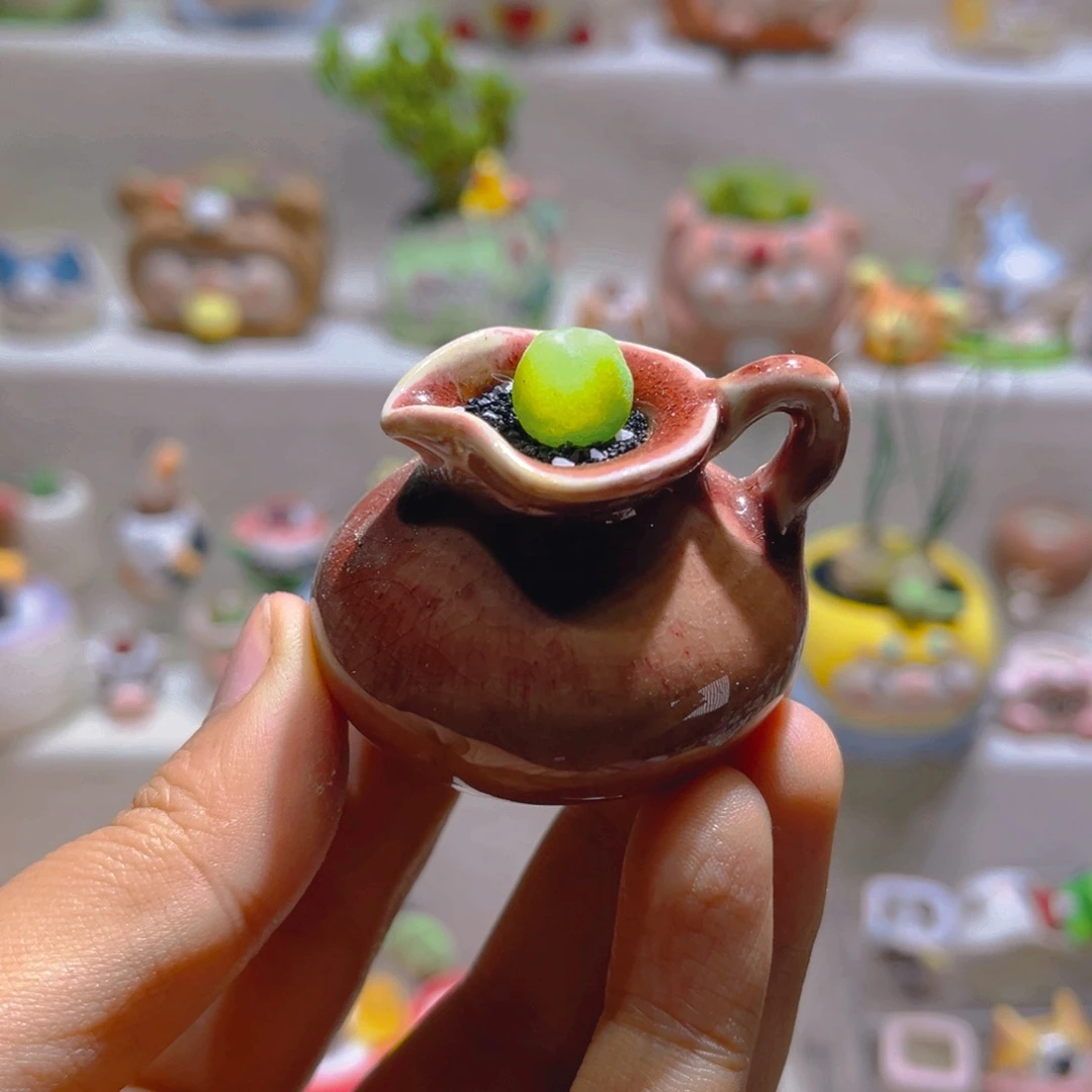 011拉登带盆土一套28
