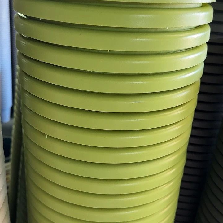 四季5号果绿无托10个特价