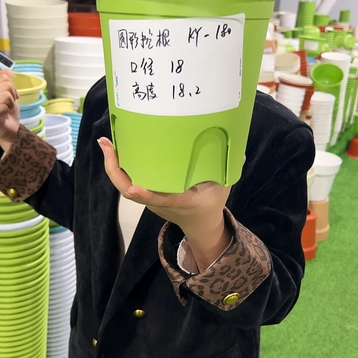 正品圆控口18高18果绿8只无托