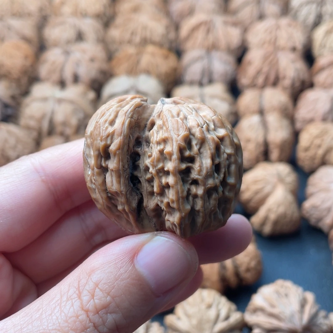 把件文玩核桃41白狮子角