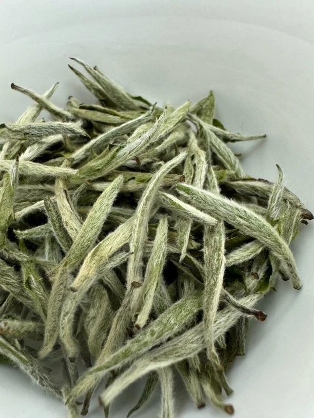 赛级白毫银针2025年基地茶园福鼎管阳高山白茶核心产区