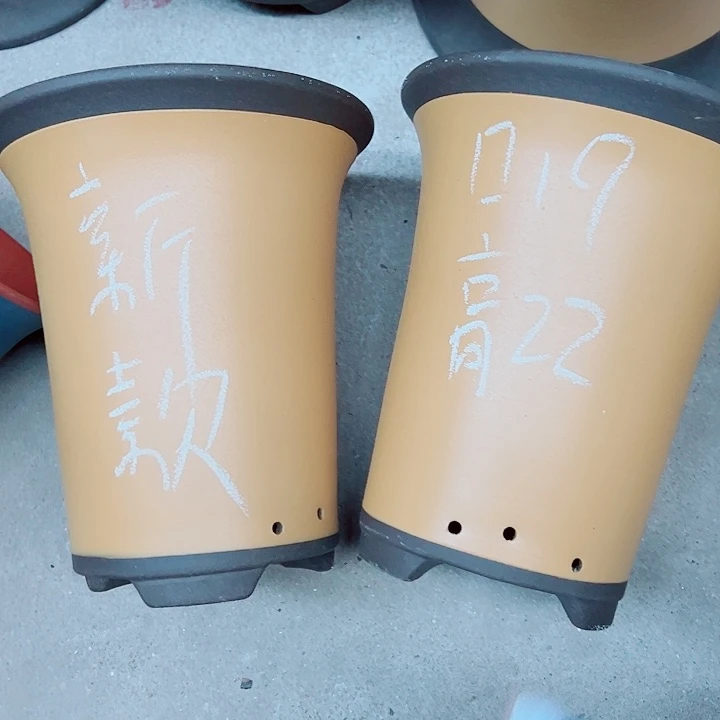 红陶19.23紫砂紫砂