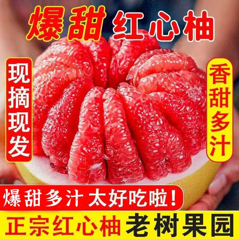 【红心柚】红心蜜柚皮薄鲜甜多汁新鲜采摘皮薄鲜甜多汁
