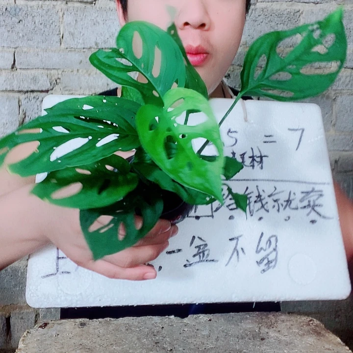 退款拉黑一物一拍140