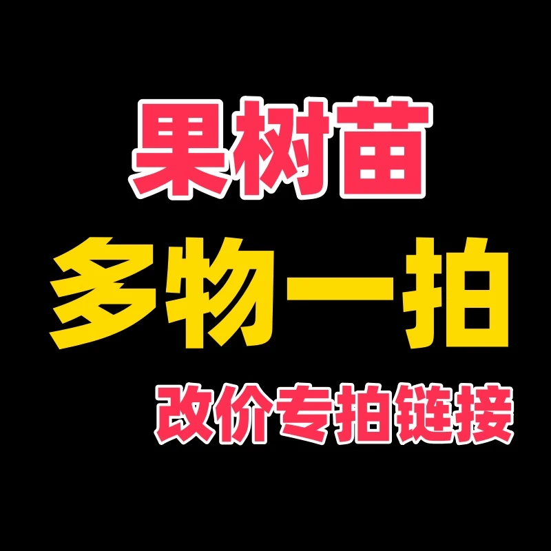 多物一拍 改价专拍链接 果树苗12