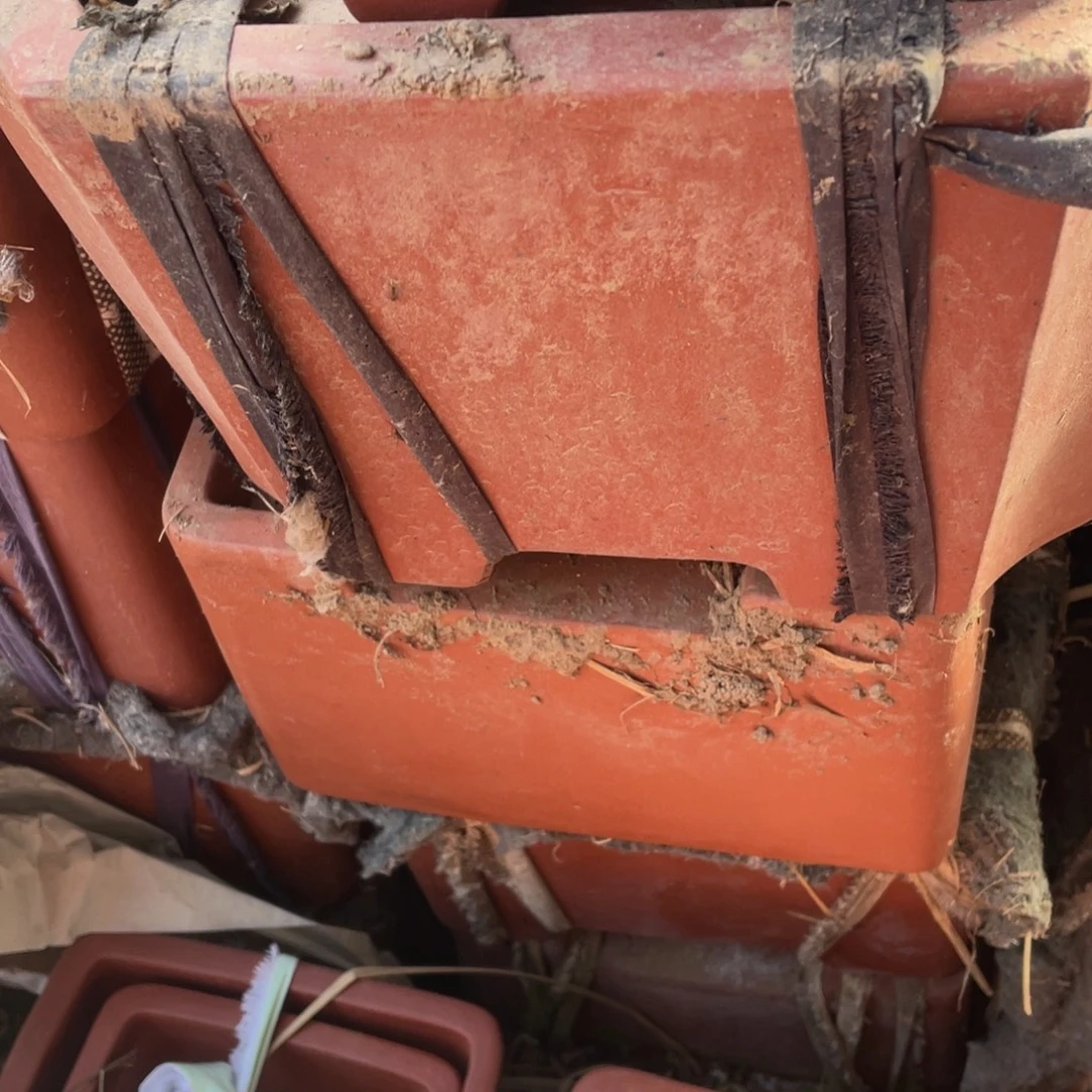 日***辉特价处理紫砂一组，切角