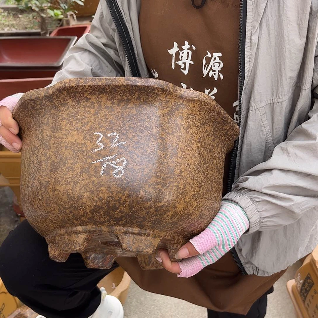 紫砂花盆盆景艺术
