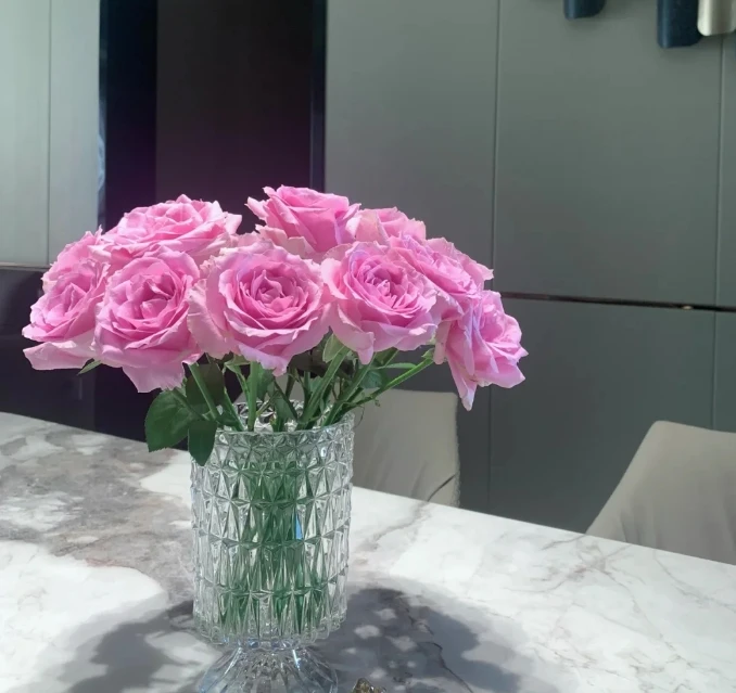 【新疆花之溪】甜蜜雪山玫瑰