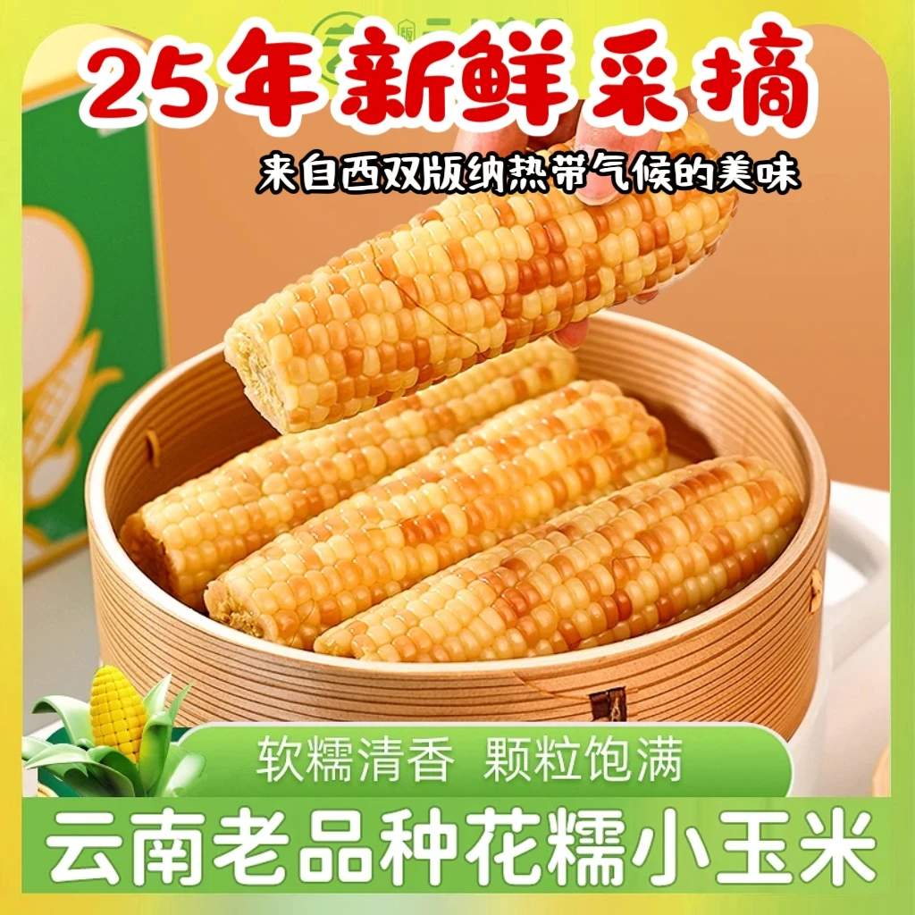 【25年鲜采】云南西双版纳香糯玉米甜糯玉米棒迷你糯粘玉米真空包装