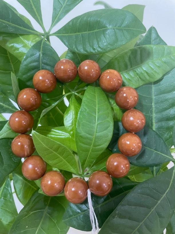 橄榄核手串1.5加精品，毕业款手串