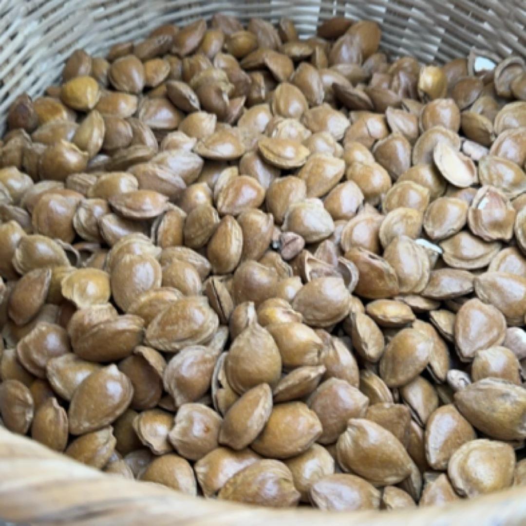 一村一品山野好货【精选一杏子果】