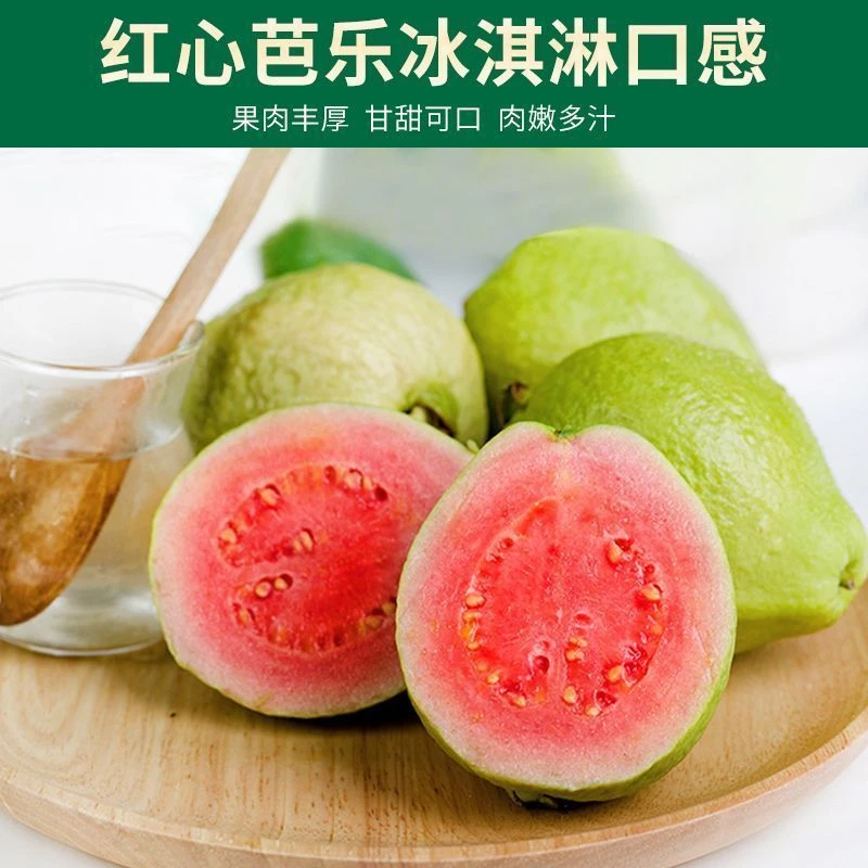 正宗广西红心奶油芭乐新鲜现摘现发当季番石榴低糖正宗芭乐水果