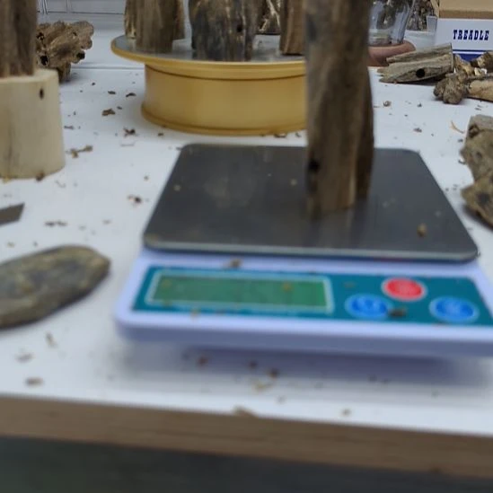 沉香碎屑沉香棋楠沉香虫漏小料35