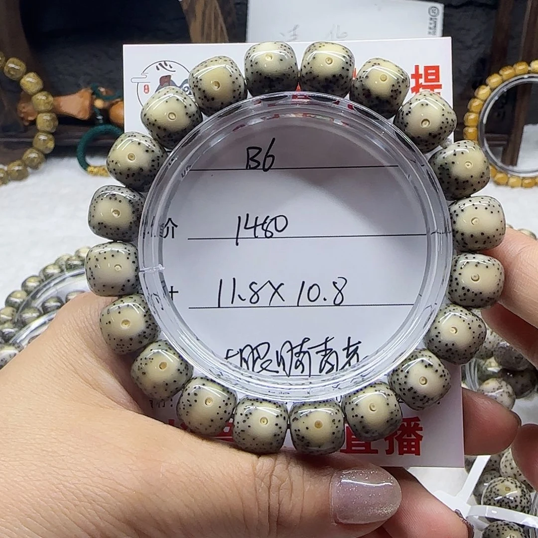 °心月星月菩提一号B6