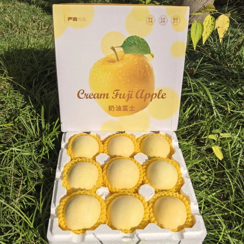 奶油富士黄金苹果烟台苹果新嫩多汁脆甜可口托盘包装整箱包邮