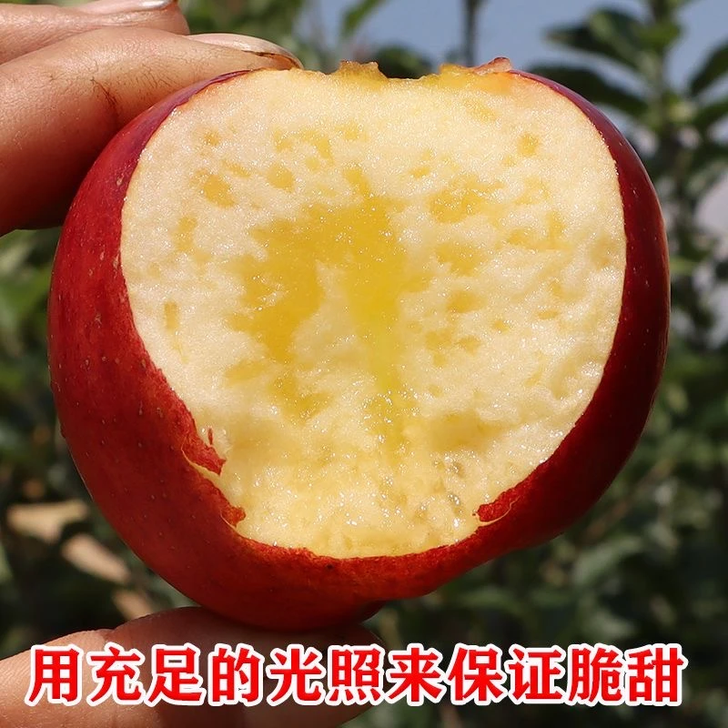 正宗云南昭通红露苹果直发网红丑苹果冰糖心脆甜当季新鲜苹果水果