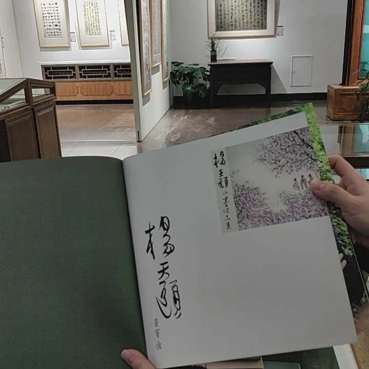 书法杨天颐亲签画册