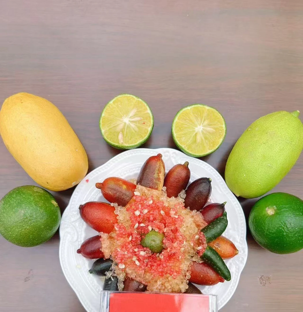 云南边境农场自产 澳洲指橙 手指柠檬 可作料理食材的网红鲜果